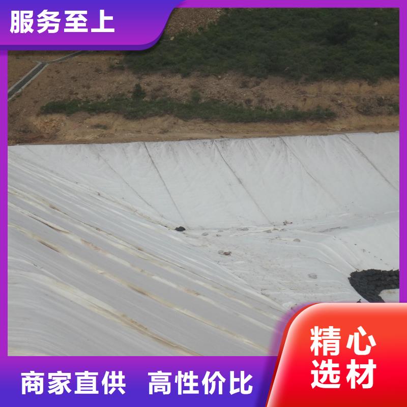 土工布涤纶土工格栅订制批发