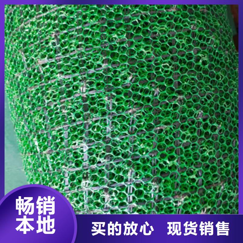 三维植被网凸结点钢塑土工格栅精心选材