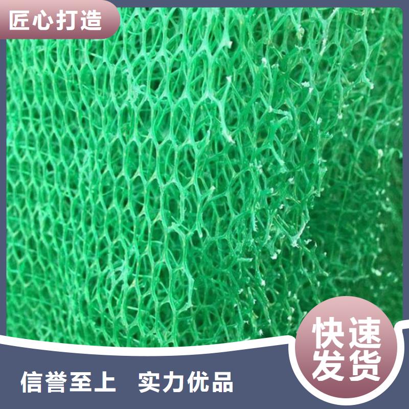 三维植被网-短丝土工布制造生产销售