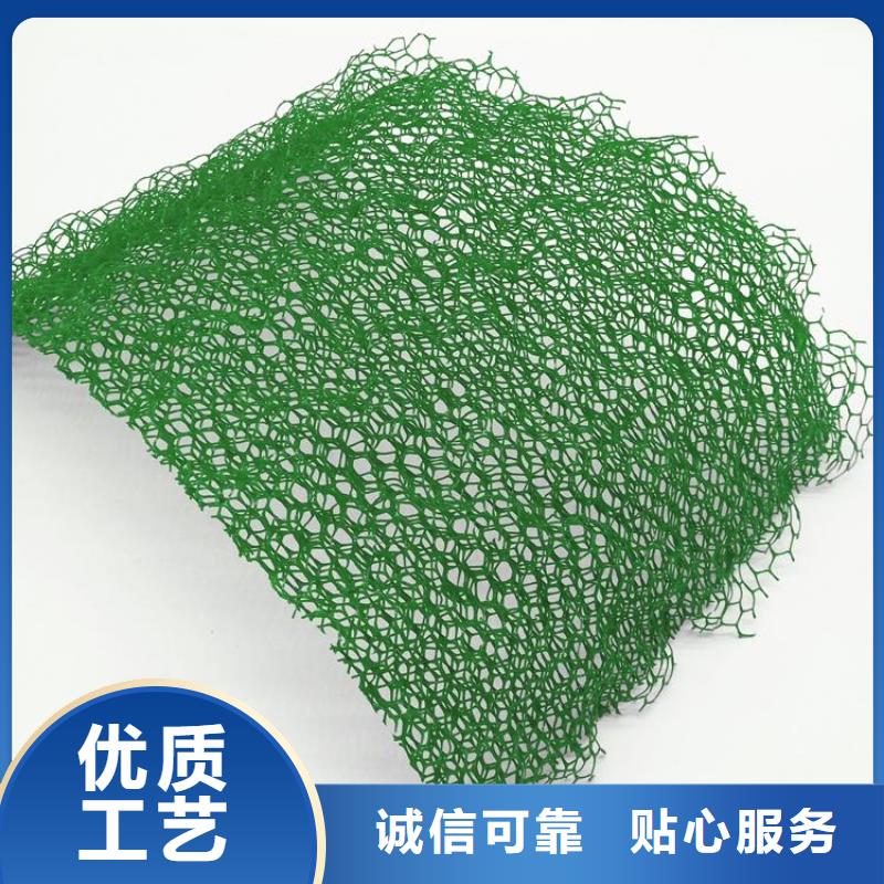 三维植被网【双向塑料土工格栅】来图来样定制