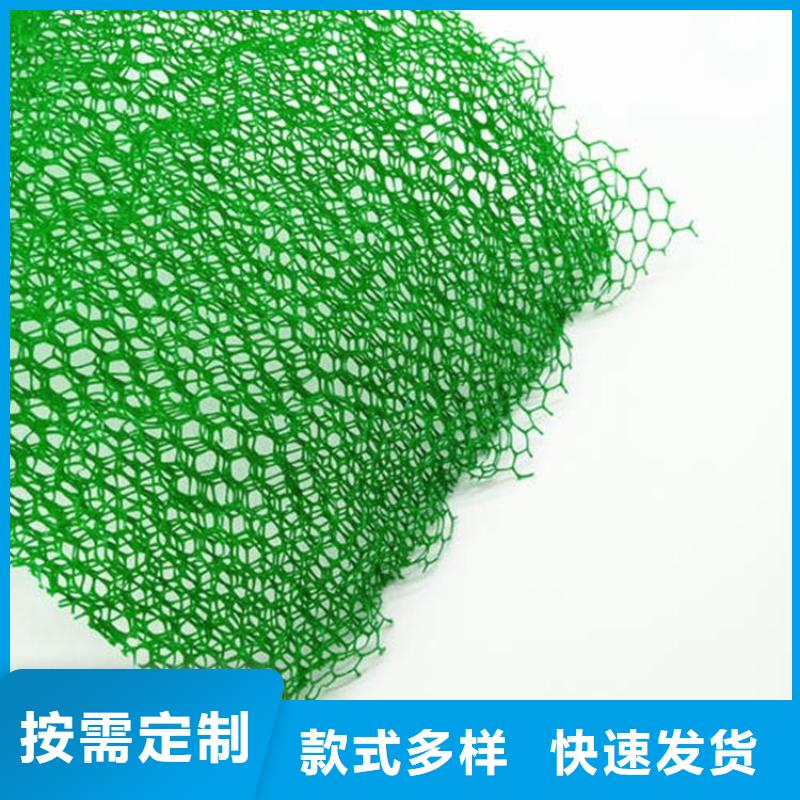 【三维植被网-单向塑料格栅实力商家】