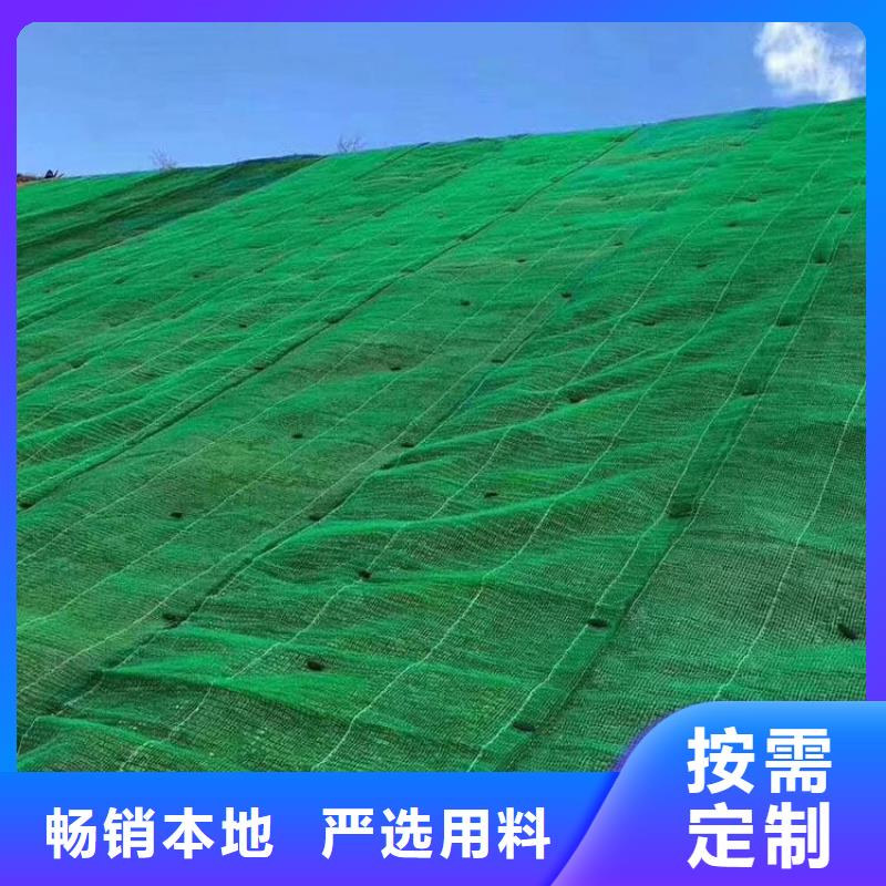 三维植被网-短丝土工布制造生产销售