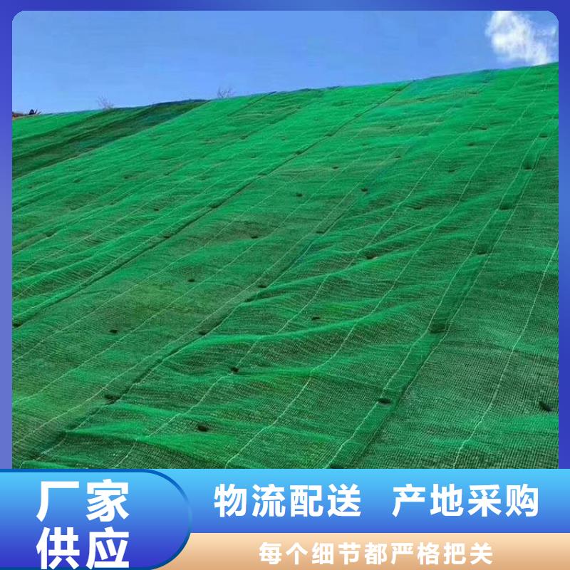 三维植被网三维土工网垫品质服务诚信为本