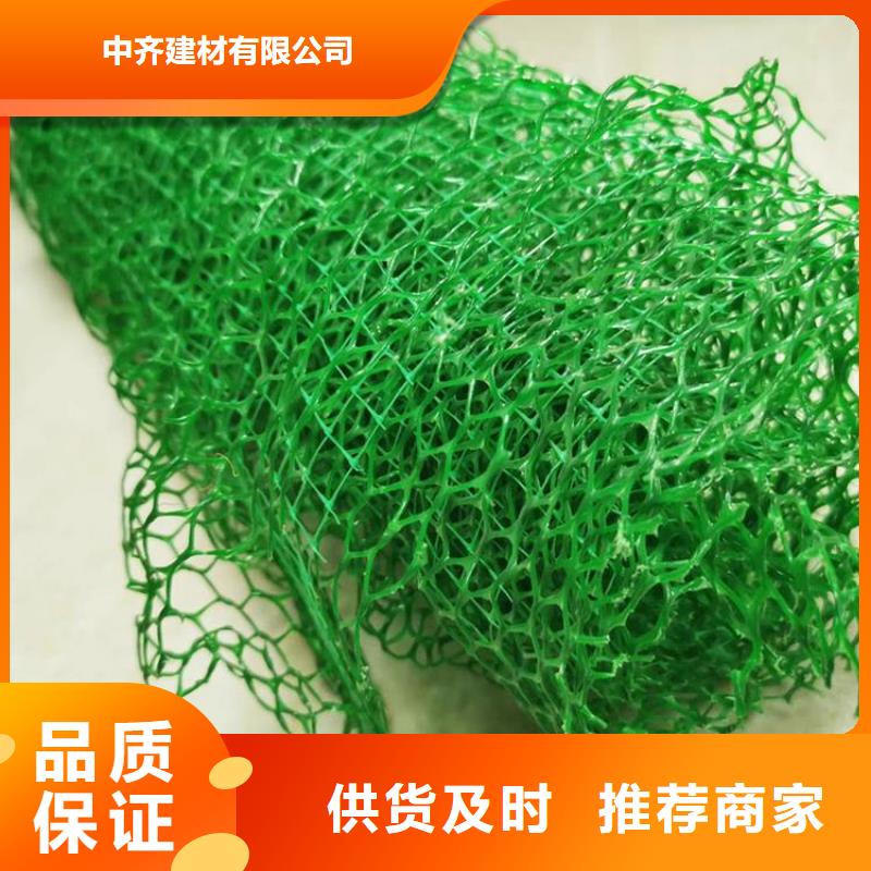 三维植被网-凸结点钢塑土工格栅今日价格