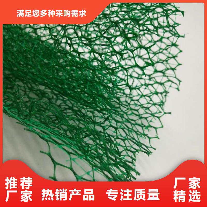 【三维植被网反滤排水货源足质量好】