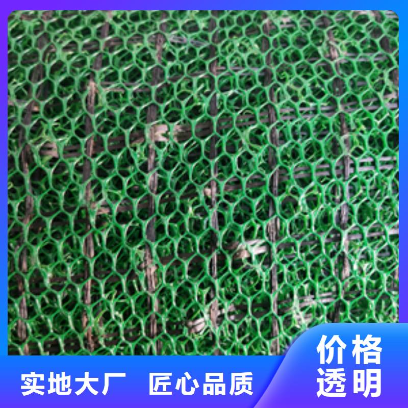 三维植被网膨润土防水垫实力厂家直销
