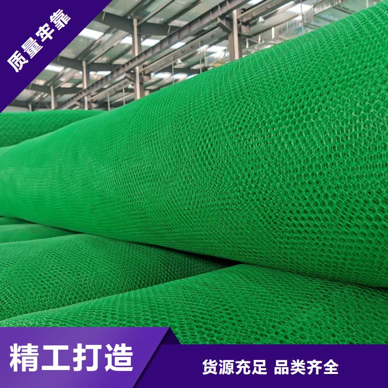 三维植被网短丝土工布大量现货