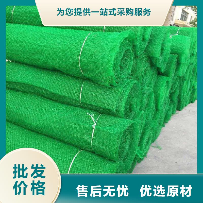 三维植被网膨润土防水垫实力厂家直销