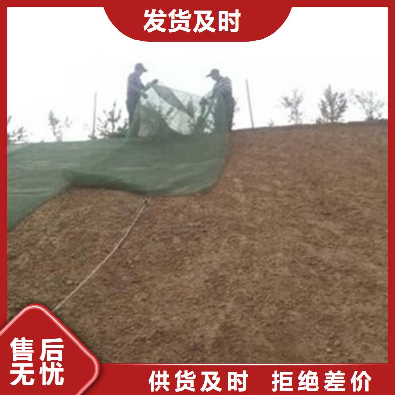 三维植被网土工格室一个起售