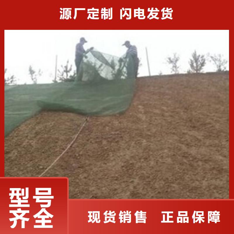 【三维植被网凸结点钢塑土工格栅供您所需】