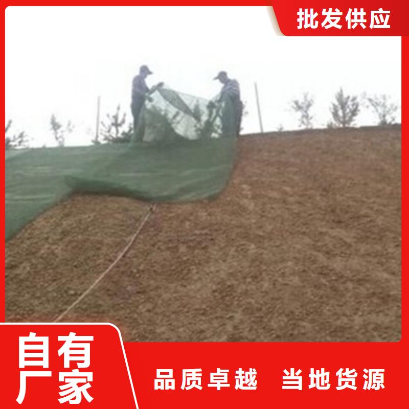 三维植被网土工格室一个起售