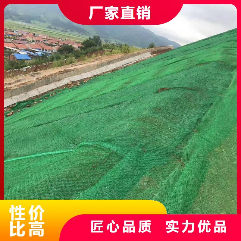 【三维植被网】单向塑料土工格栅现货直发