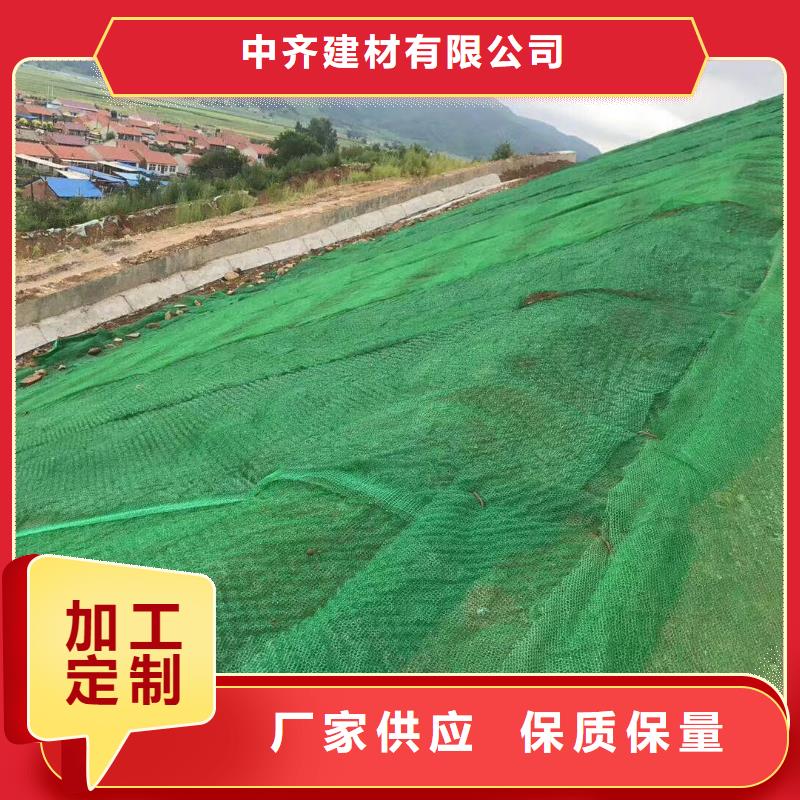 三维植被网【HDPE黑色土工膜】严格把关质量放心