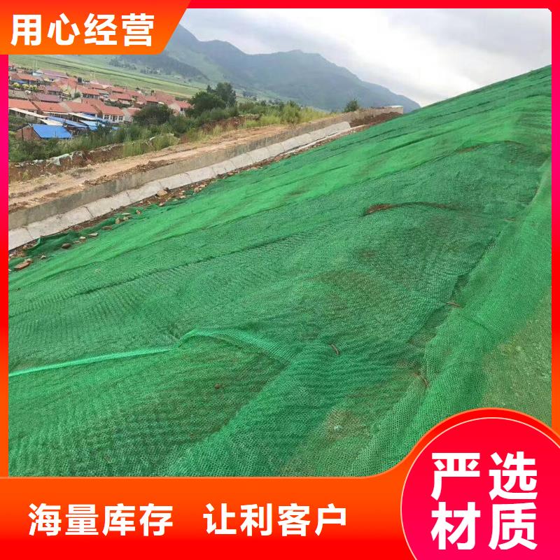 三维植被网,【凸结点钢塑土工格栅】可定制