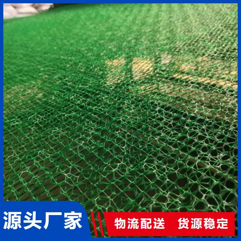 三维植被网-凸结点钢塑土工格栅今日价格