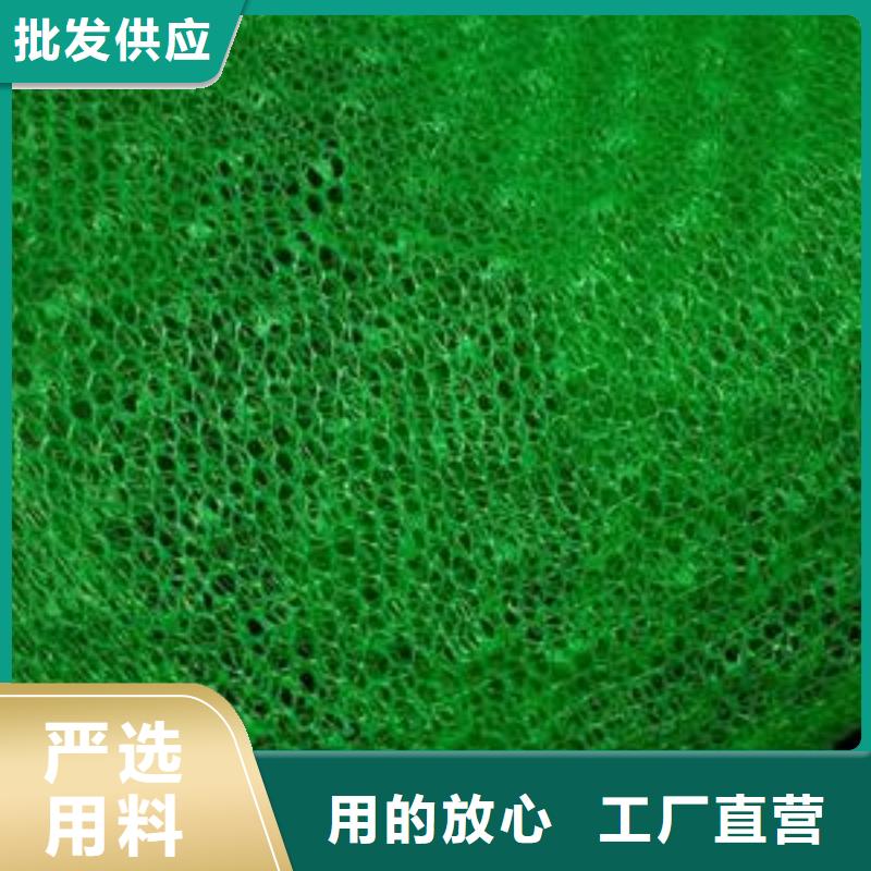 三维植被网,【护坡土工网】大厂家实力看得见