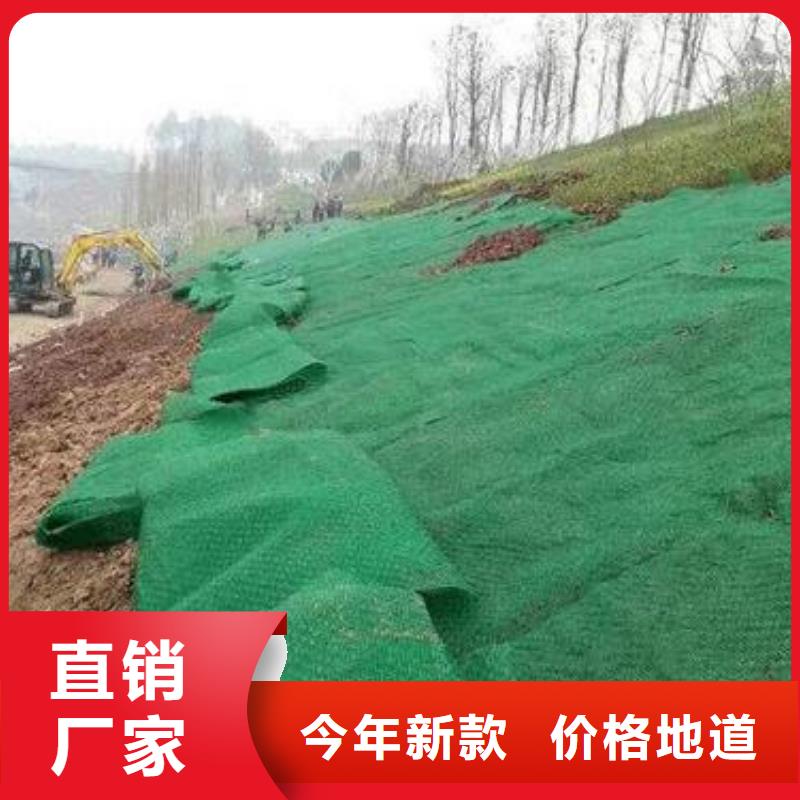 三维植被网三维土工网垫品质服务诚信为本