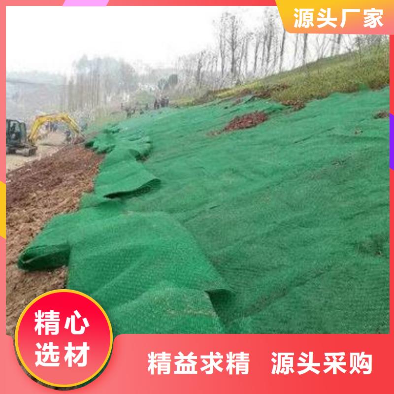 排水沟盖板中齐三维植被网,【膨润土防水毯】工厂认证