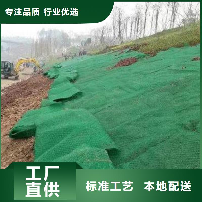 三维植被网涤纶格栅欢迎来电咨询