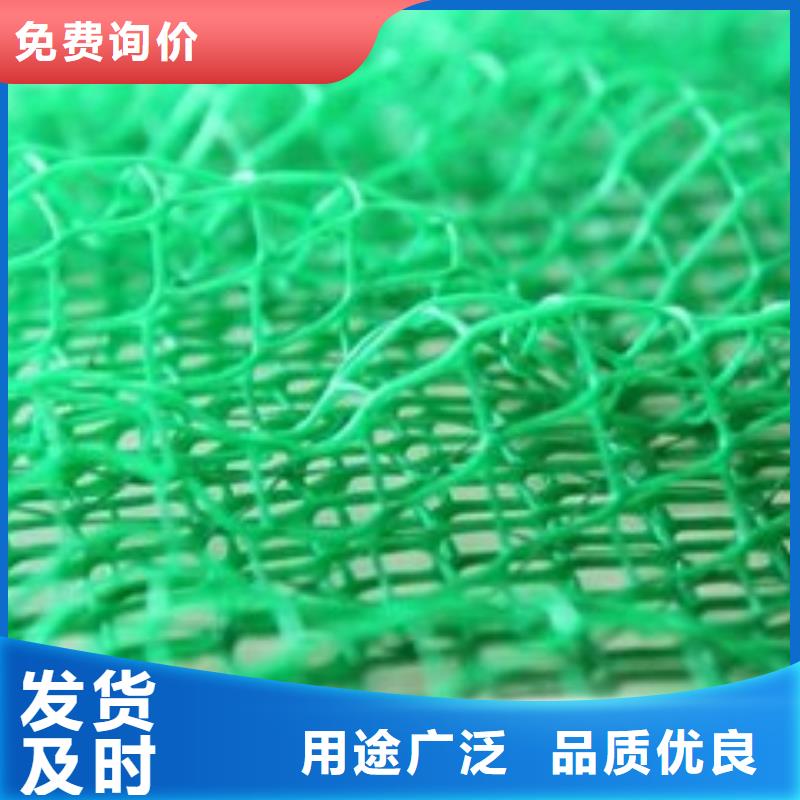 三维植被网涤纶格栅欢迎来电咨询
