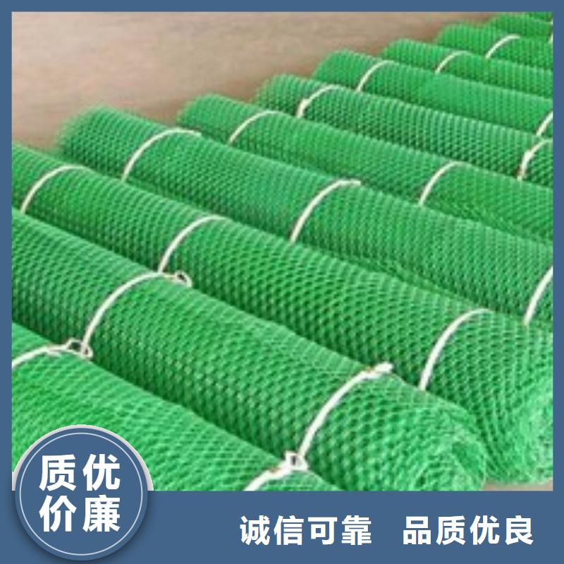 三维植被网三维土工网垫品质服务诚信为本