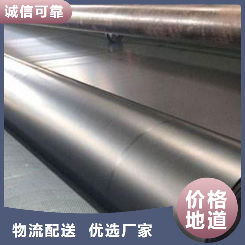 土工膜单向塑料格栅产地厂家直销