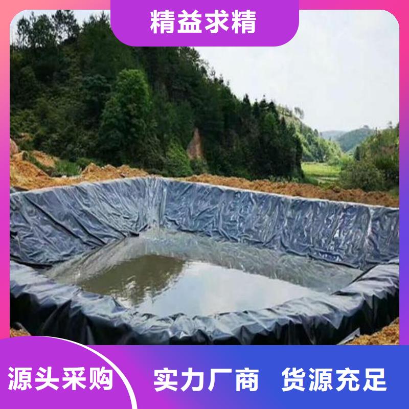 制造商土工膜 【单向塑料格栅】把实惠留给您