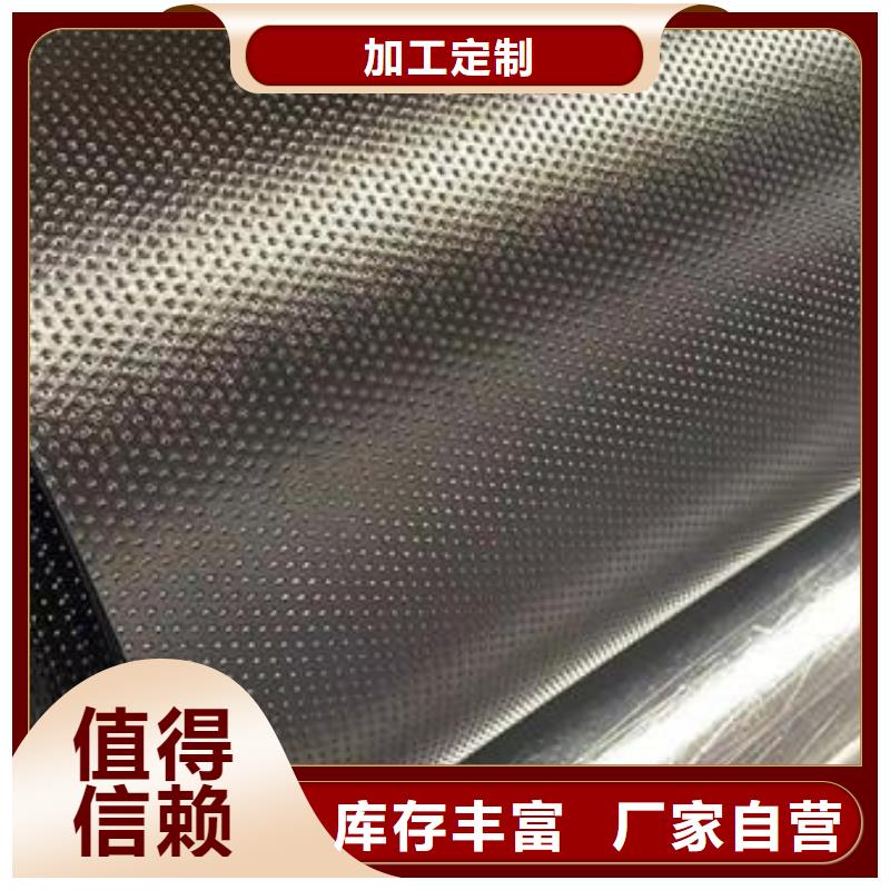 土工膜单向塑料格栅极速发货