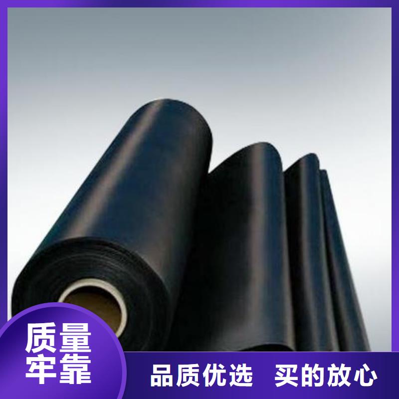 土工膜单向塑料格栅产地厂家直销