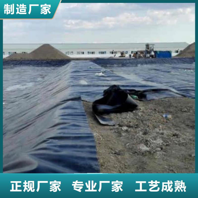 土工膜凸结点钢塑土工格栅可放心采购