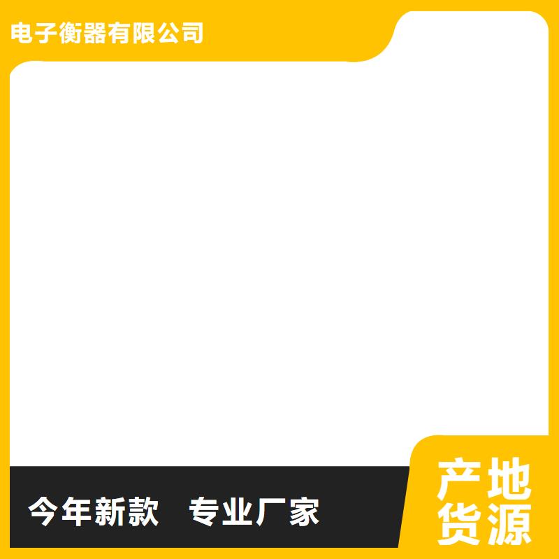 地磅仪表-【防爆地磅】用途广泛-电子衡器(铜仁市分公司)