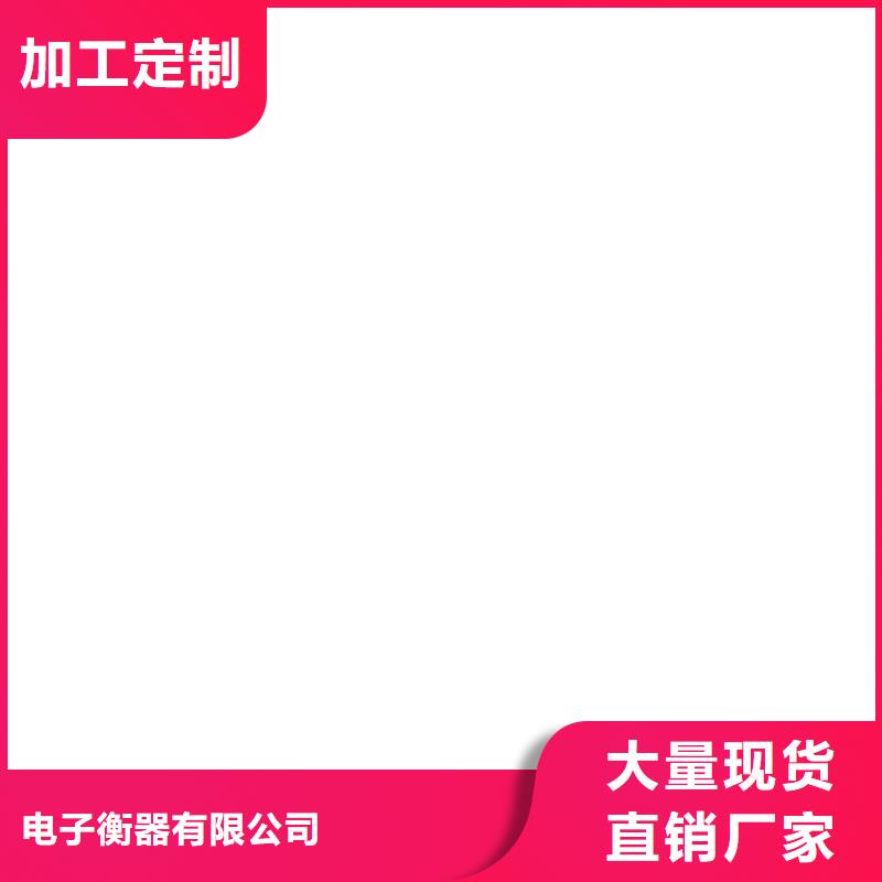 地磅仪表-【防爆地磅】用途广泛-电子衡器(铜仁市分公司)