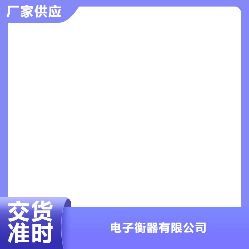 电子皮带秤小地磅懂您所需