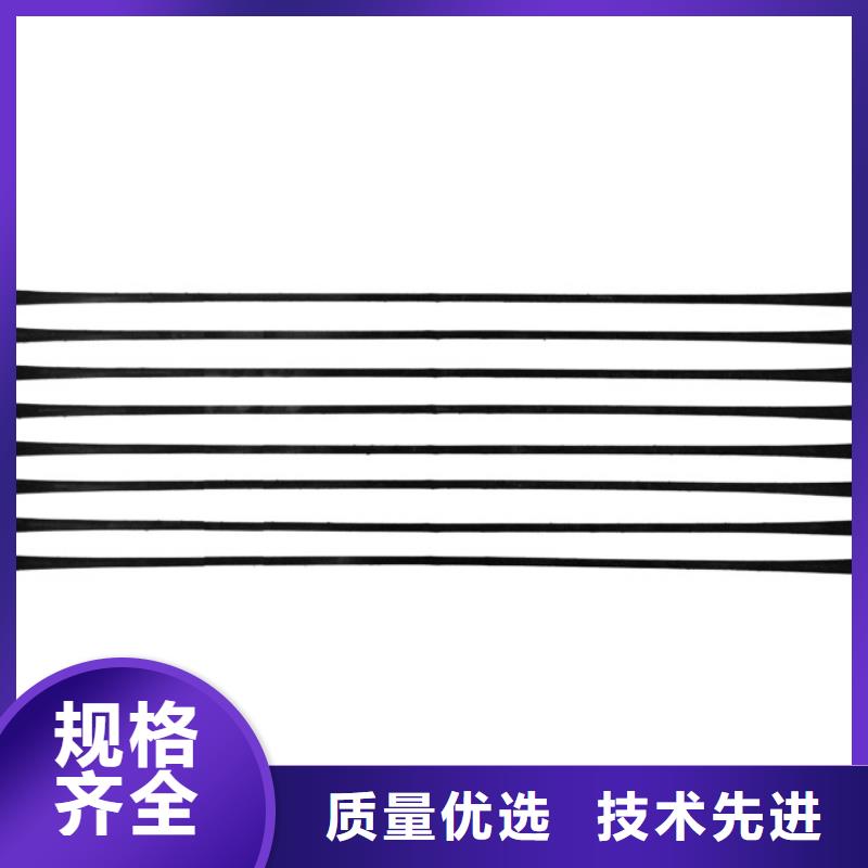 宁波直销单向拉伸塑料格栅-水土保护毯厂家直销供货稳定