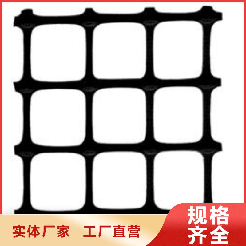 双向塑料土工格栅水土保护毯应用广泛
