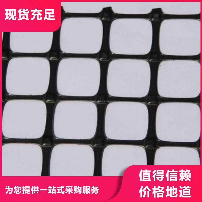 双向塑料土工格栅水土保护毯应用广泛