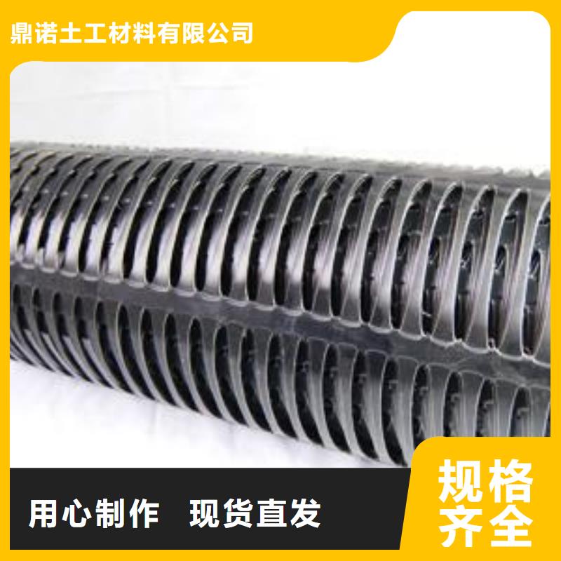 【双向塑料土工格栅】 三维复合排水网库存充足本地供应商