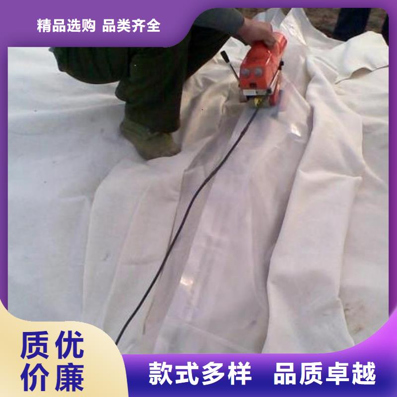 土工膜,复合土工膜厂家现货供应