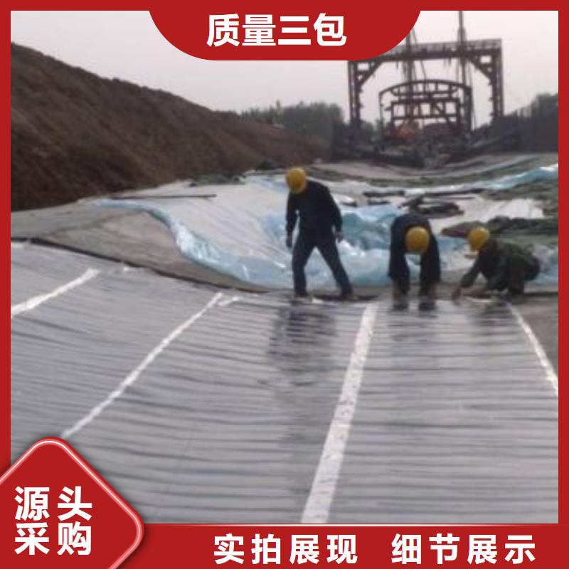 土工膜土工席垫海量现货直销
