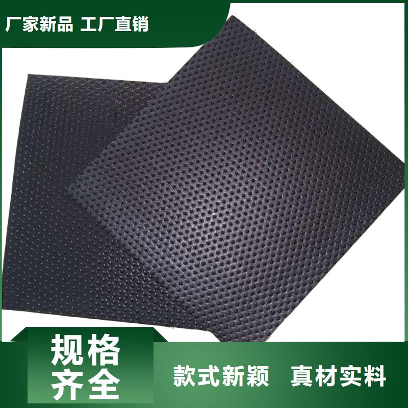 土工膜双向塑料土工格栅实力优品
