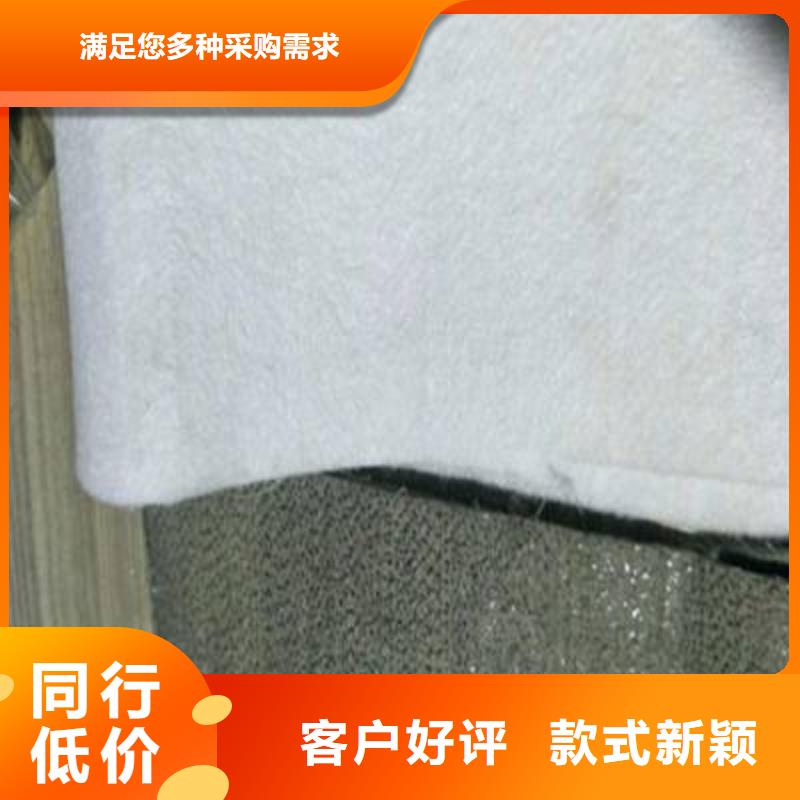 土工布三维复合排水网丰富的行业经验