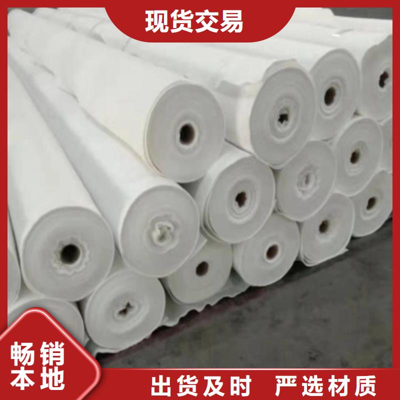 【土工布】短丝土工布工厂直供-鼎诺土工材料(甘孜市分公司)