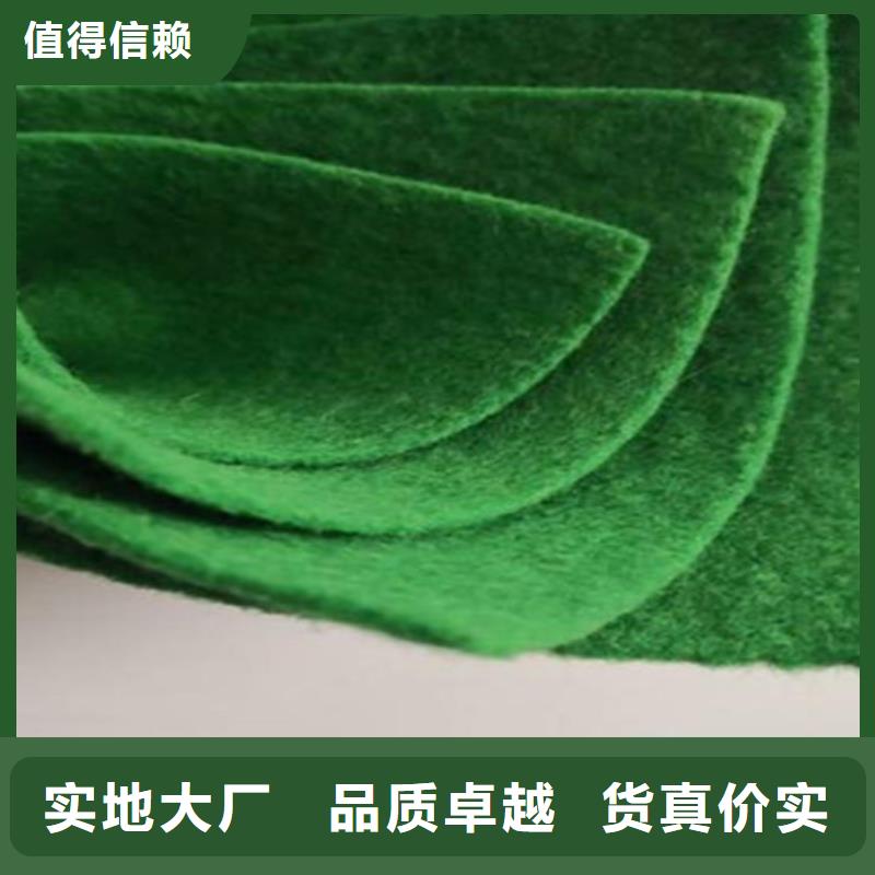 土工布三维复合排水网丰富的行业经验