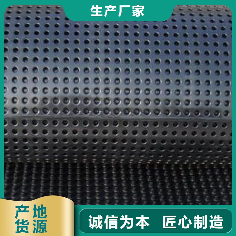 蓄排水板凸结点钢塑土工格栅源头厂家经验丰富