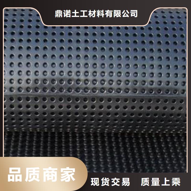 蓄排水板凸结点钢塑土工格栅源头厂家经验丰富