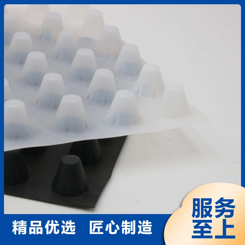 【蓄排水板】,三维土工网垫采购无忧-市场覆盖|隰县|蒲县|晋城|大同|晋中|长治|忻州-云商赢企