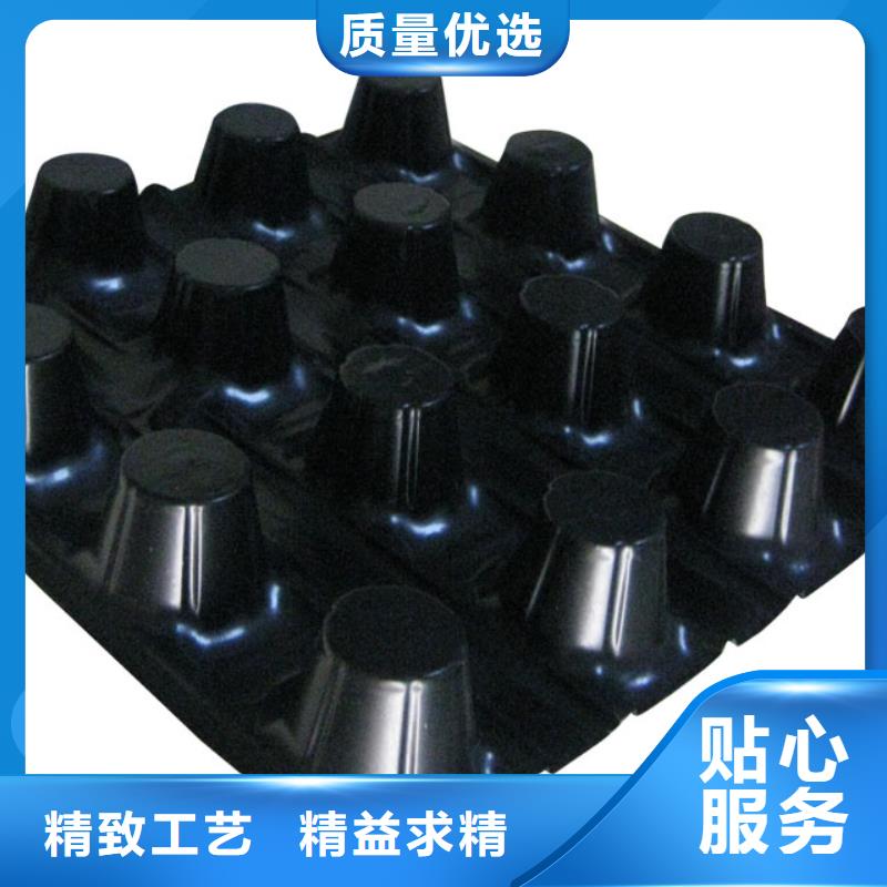 【蓄排水板】,膨润土防水垫性价比高