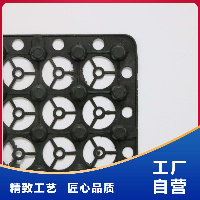 蓄排水板土工席垫懂您所需