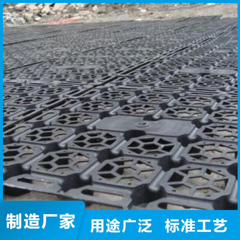 蓄排水板凸结点钢塑土工格栅源头厂家经验丰富