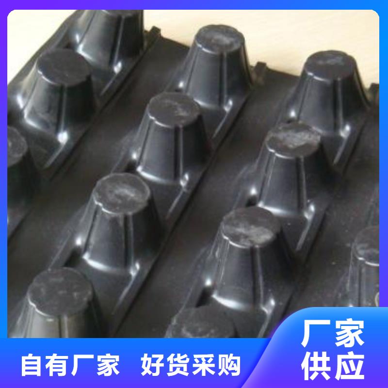 蓄排水板土工格室实力雄厚品质保障